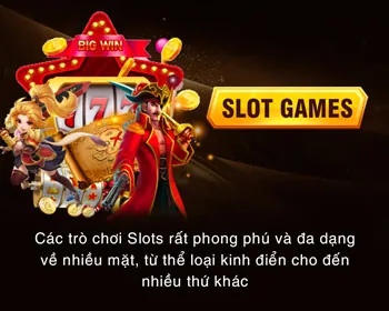 Hoàn trả cược hàng ngày/tuần