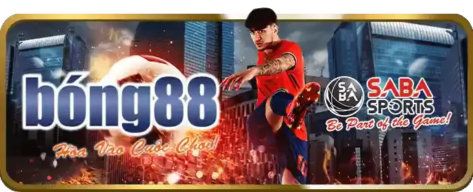 Kèo Meron trong đấu gà